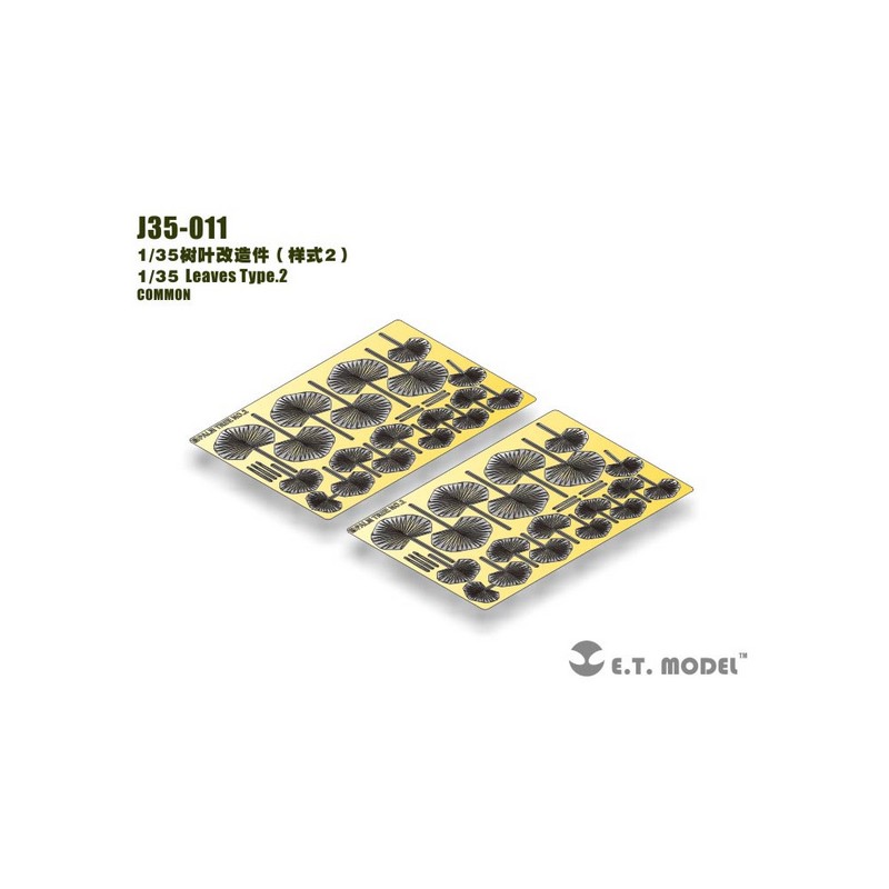 Fotograbado: Hojas Tipo.2.