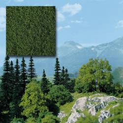 Foliage spring green.