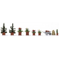 Plantas de Natal.