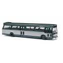 Autobus americano "Fishbowl".