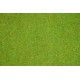 Flowered grass mat . NOCH 00270