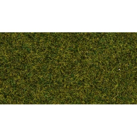 Scatter grass meadow. NOCH 08212