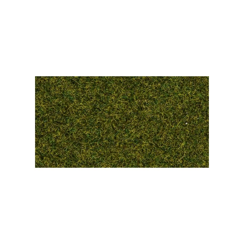 Hierba de pradera verde claro. NOCH 08212