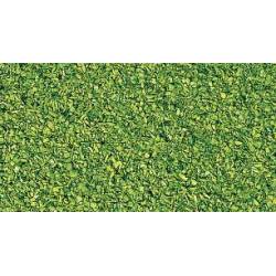 Alpine pasture, light green.