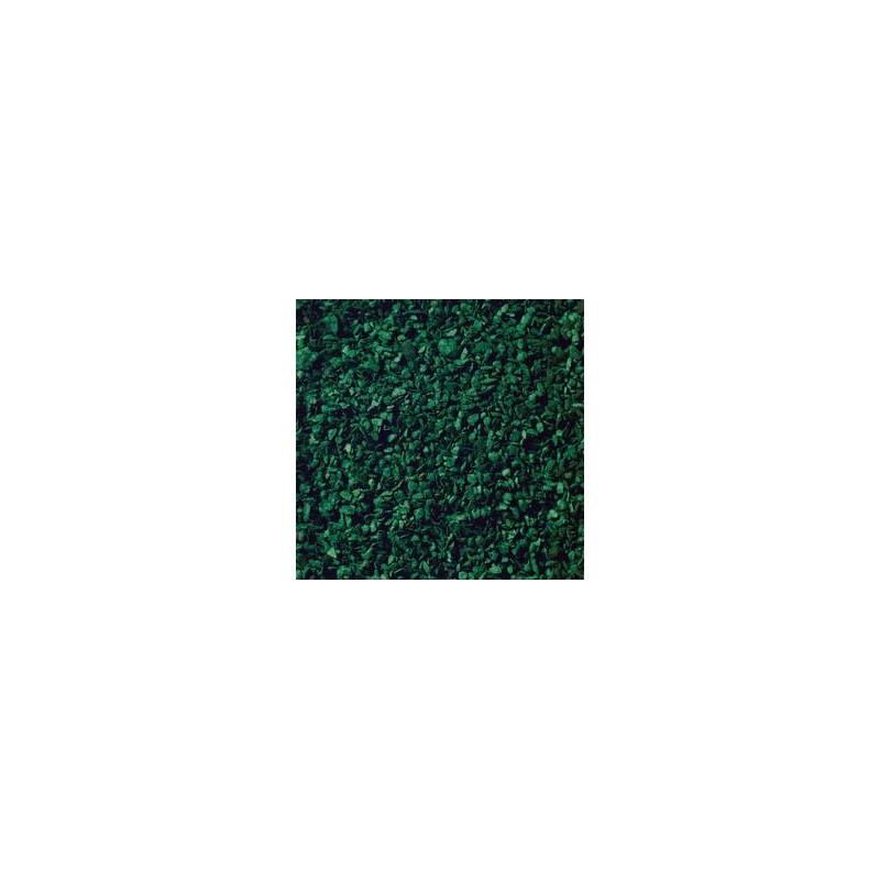 Leaves dark green. NOCH 07146 Leaves dark green. NOCH 07146