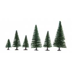 50 sapins.