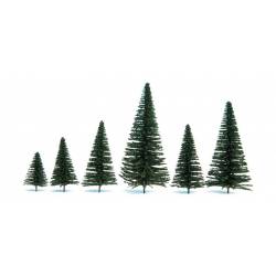 25 sapins sans pied.