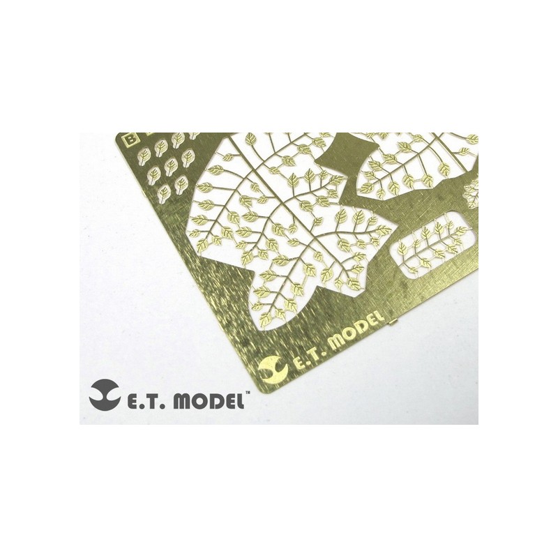 Fotograbado: Hojas tipo 2.