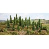 10 model spruce trees. NOCH 26827