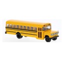 Dodge S600 Bus School.