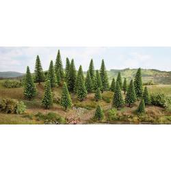 10 Model Spruce Trees.