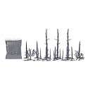 17 charred tree trunks.