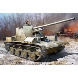 Destroyer TACAM T-60.