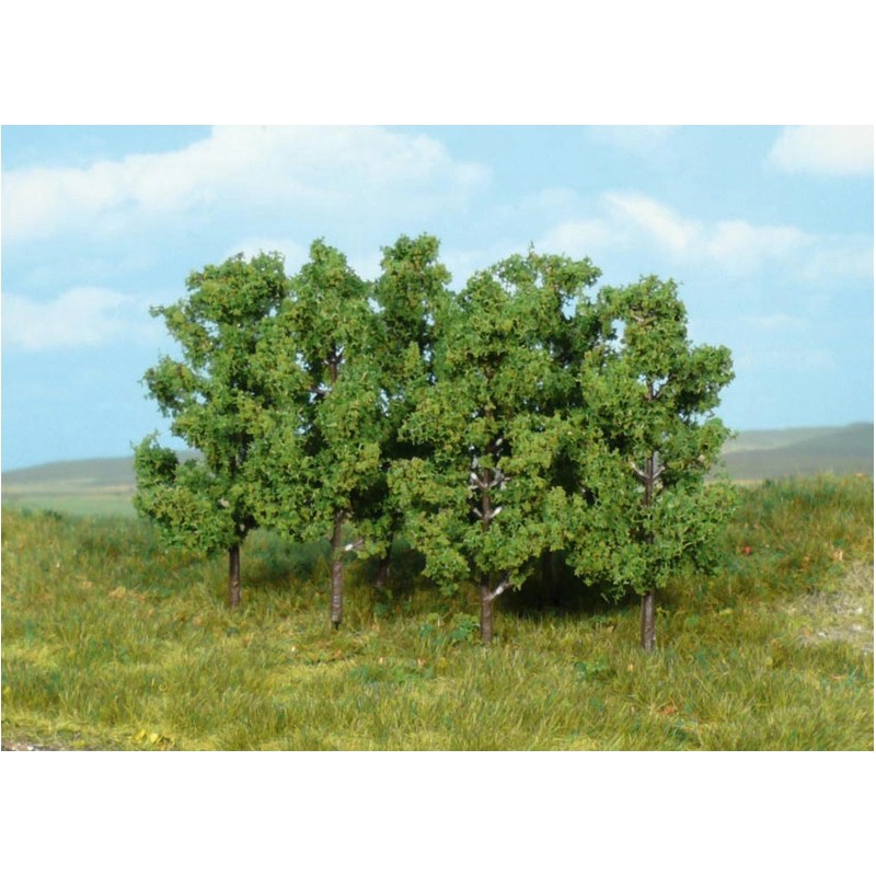 6 alder trees to stick in 8 cm.