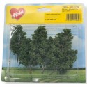6 alder trees to stick in 8 cm.