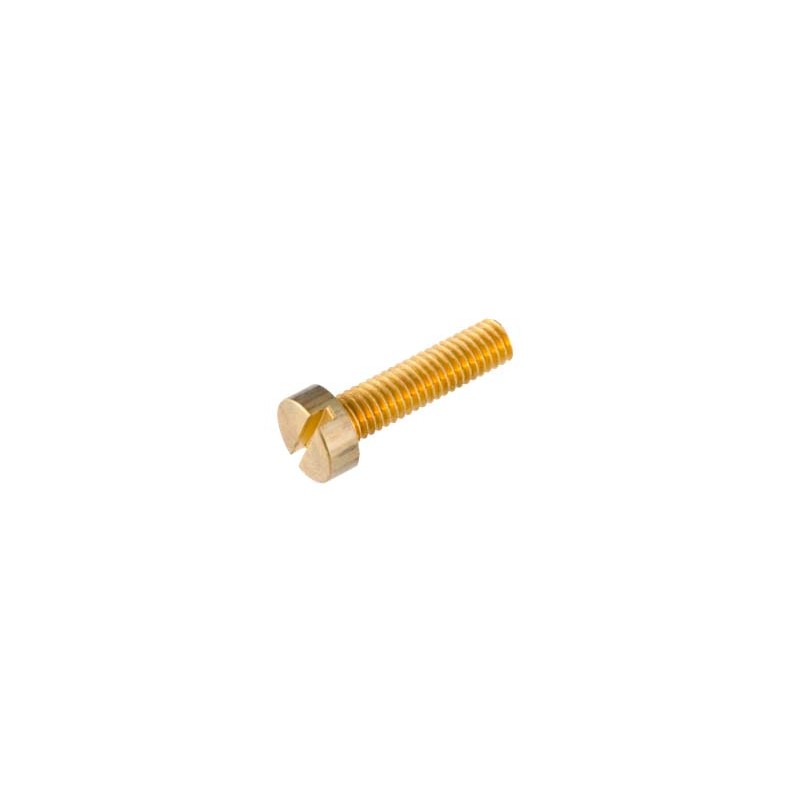 Tornillos, cabeza de queso. Tornillos, cabeza de queso.