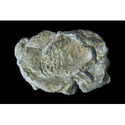 Steinherstellungsform, Wind Rock.
