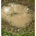 Puddles (60 ml).
