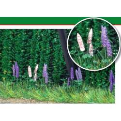 Lupinos.