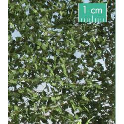Oak foliage.