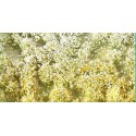 Flores en primavera. SILHOUETTE 726-31S