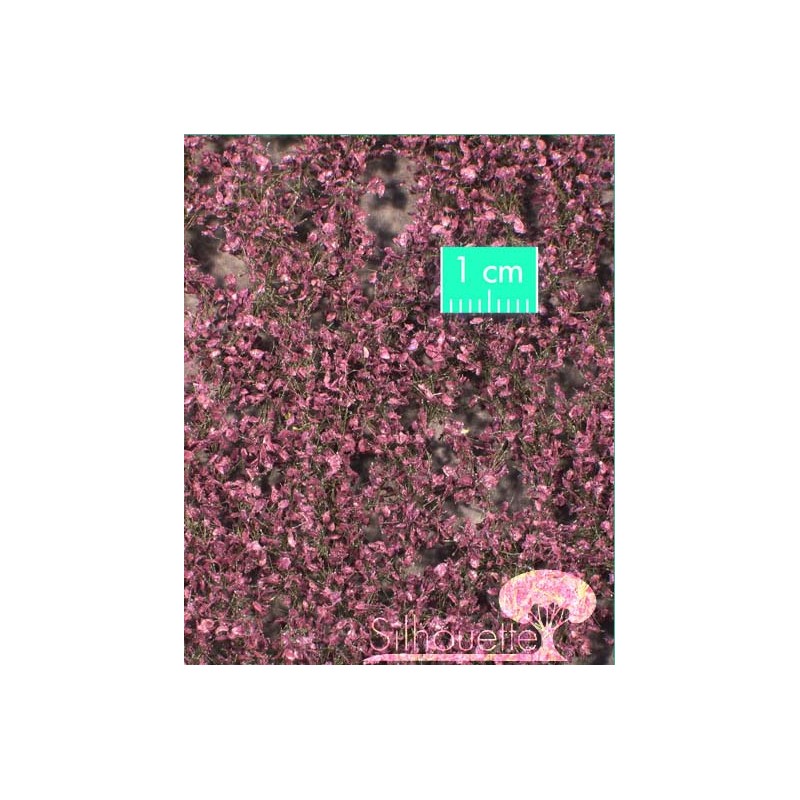 Copper beech foliage. SILHOUETTE 922-32S