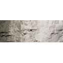 Stone grey. WOODLAND C1218
