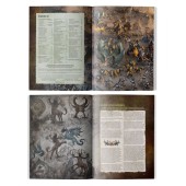 Battle Tome Destruction : Orruk Warclans espagnol.