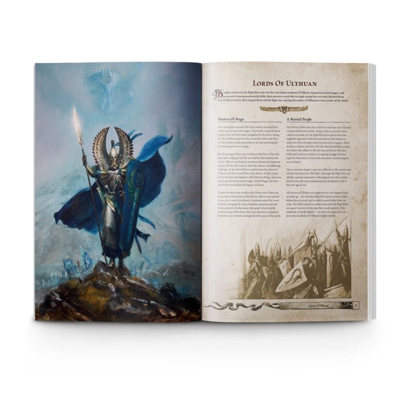 CONVERTITO CAOS STREGONE Warhammer Fantasy Battle Il Vecchio Mondo Mago