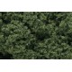 Foliage clusters medium green. WOODLAND FC58