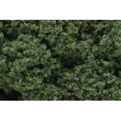 Foliage clusters medium green. WOODLAND FC58