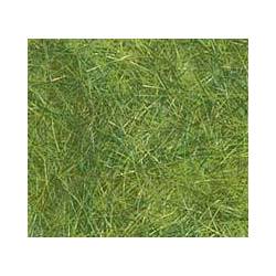 Herbe à modeler verte.