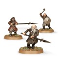 Krieger des Erebor.