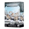 Space Wolves: Fenrisianische Wölfe.