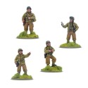 Comandantes del Ejército de los EEUU. Comandantes del Ejército de los EEUU.