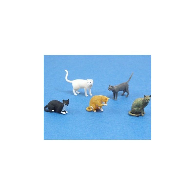 Cats.