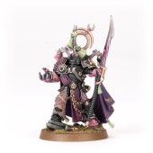 Die Armeekiste der Kinder des Kaisers: Die Champions von Slaanesh.