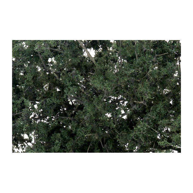 Fine-leaf foliage dark green. WOODLAND F1130