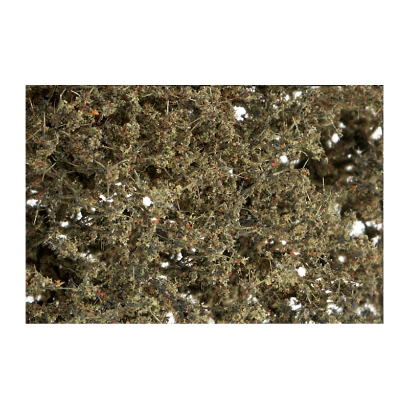 Fine-leaf foliage dead foliage. WOODLAND F1134