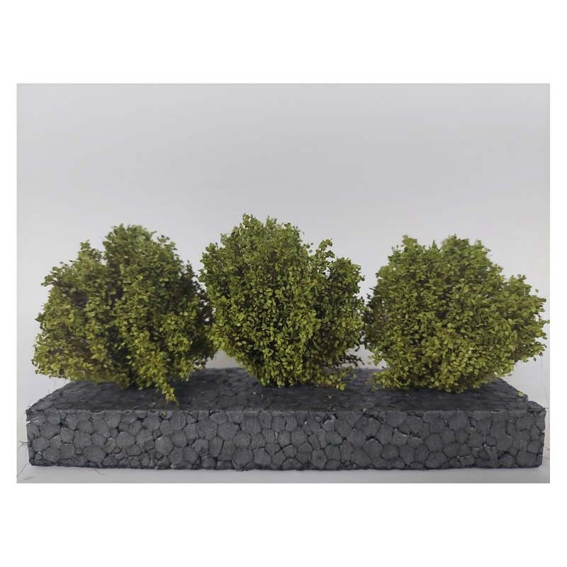 Bushes, spring.