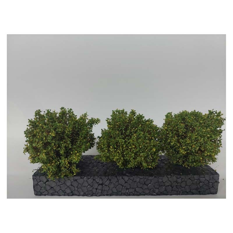 Bushes, early fall.