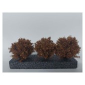 Arbusti, tardo autunno.