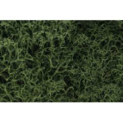 Lichen, medium green. WOODLAND L163