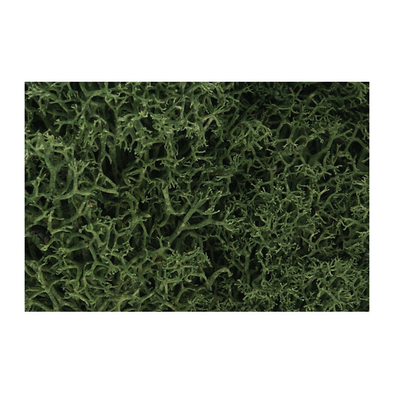Lichen, medium green. WOODLAND L163
