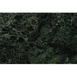 Liquen, verde oscuro.