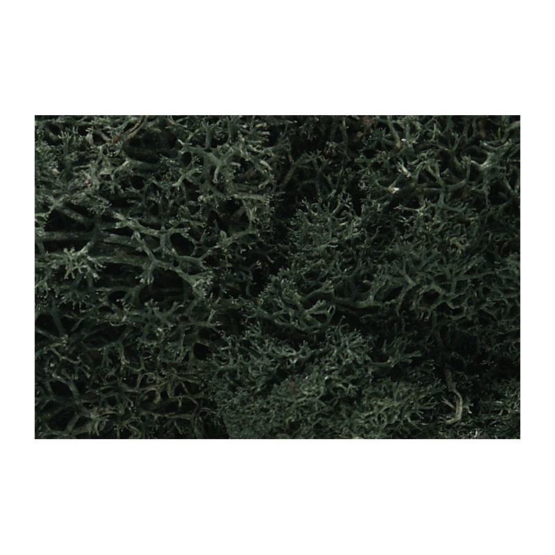 Liquen, verde oscuro. WOODLAND L164