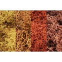 Liquen, otoño. WOODLAND L165