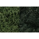 Liquen, verde WOODLAND L168