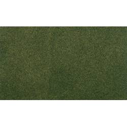 Forest grass medium roll.