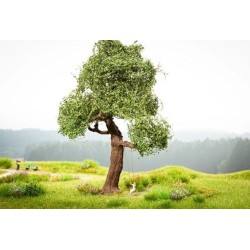 Micro motion tree with swing. | Broken blister